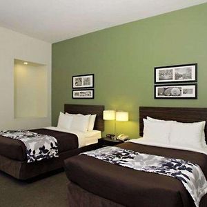 Double Room Two Double Beds